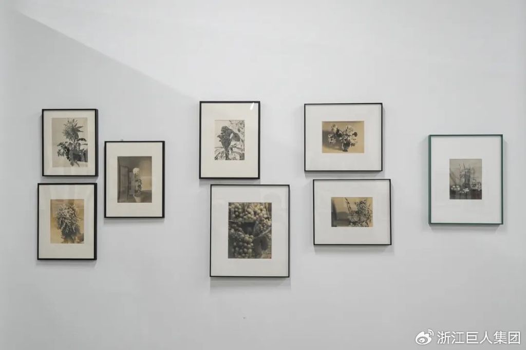 博覽相機文化 致敬科技匠心——南潯巨人照相機博物館開幕 博覽相機文化 致敬科技匠心——南潯巨人照相機博物館開幕